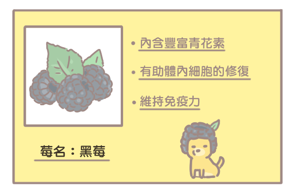 莓果的優點_黑梅 莓果的優點_黑梅