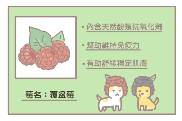 莓果的優點_覆盆莓 莓果的優點_覆盆莓