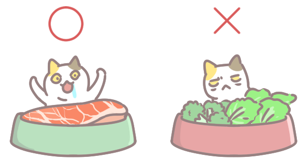 貓咪的飲食哲學_1