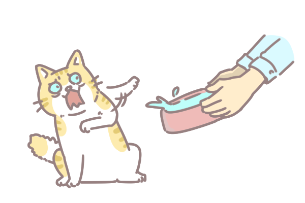 貓咪的飲食哲學_3