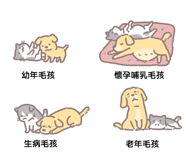 營養性貧血缺的三大營養_5