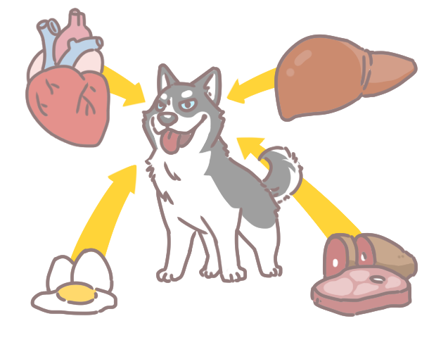 營養性貧血缺的三大營養_4