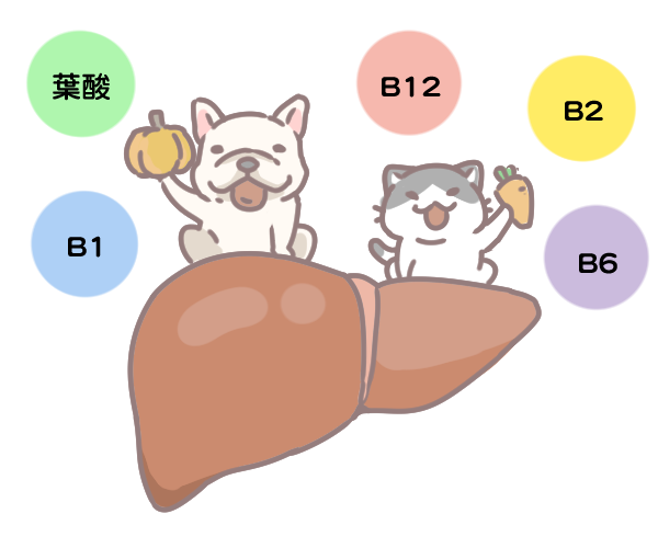 營養性貧血缺的三大營養_2