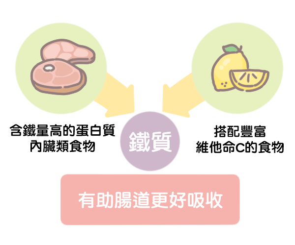 營養性貧血缺的三大營養_1