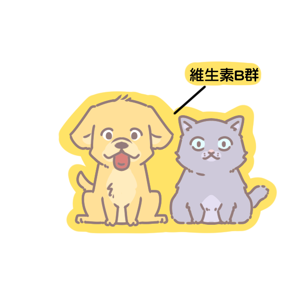 寵物為何要吃B群_2 寵物為何要吃B群_2