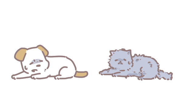 寵物為何要吃B群_3 寵物為何要吃B群_3