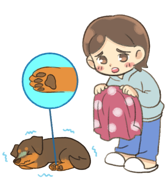 狗狗冬天保養術_2