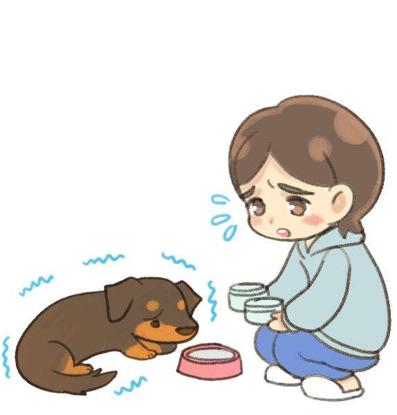 狗狗冬天保養術_3