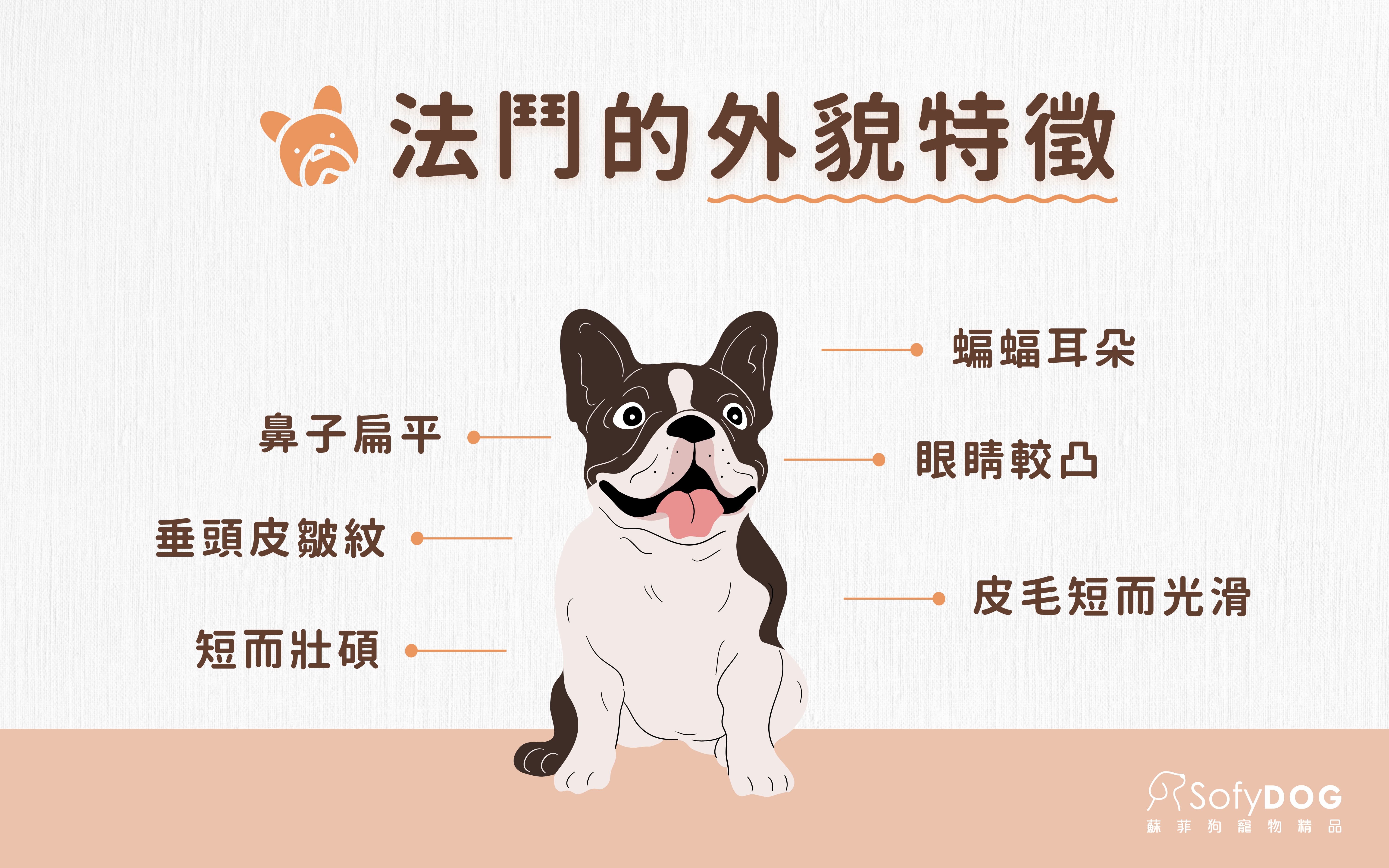 法鬥的外貌特徵 法鬥的外貌特徵