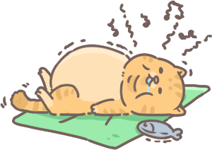 貓咪睡覺打呼_2