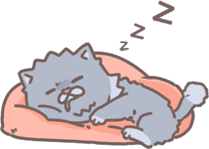 貓咪睡覺打呼_3