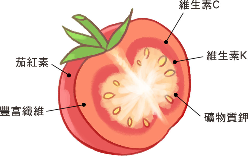 狗也可以吃番茄_2