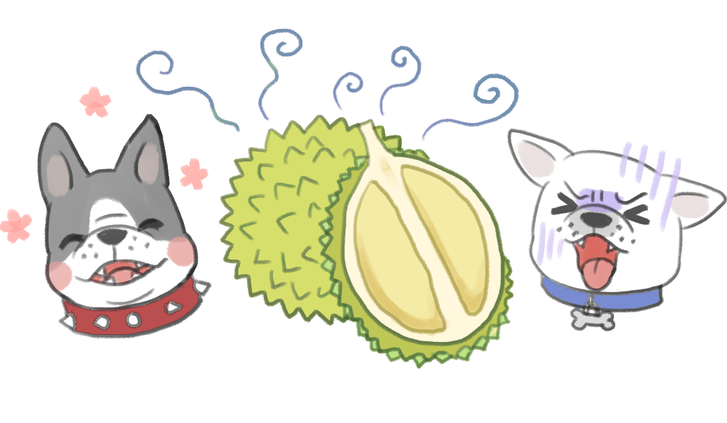 狗也可以吃榴槤_3 狗也可以吃榴槤_3