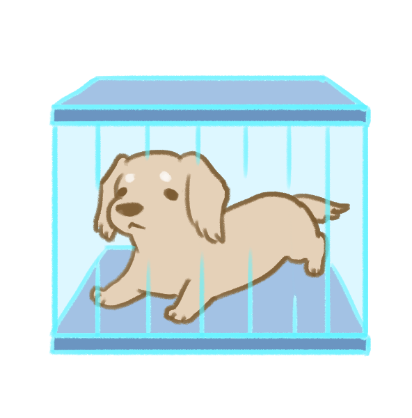 解決狗狗亂咬家具_