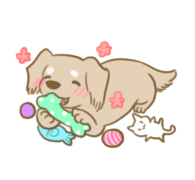 解決狗狗亂咬家具_3