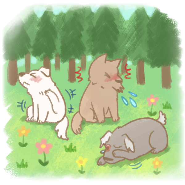 狗狗花粉症_5 狗狗花粉症_5