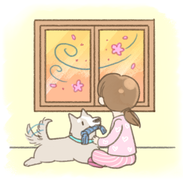 狗狗花粉症_1 狗狗花粉症_1