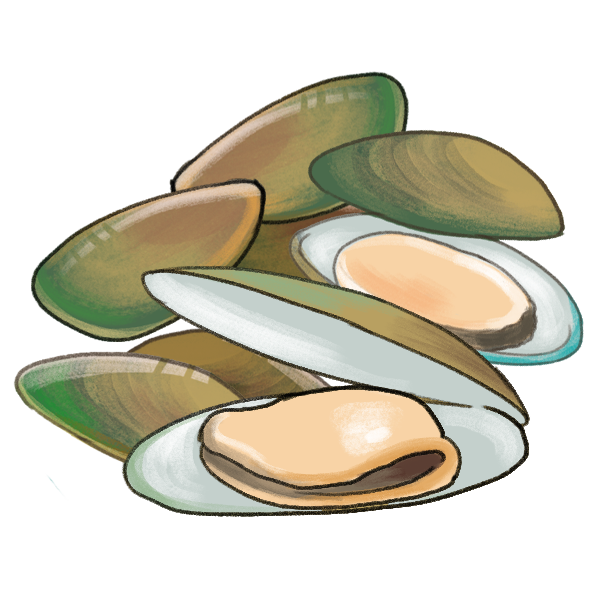 綠唇貝能保健關節健康