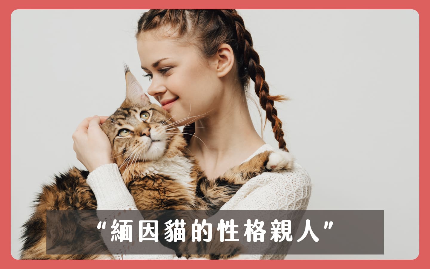 緬因貓的性格親人 緬因貓的性格親人