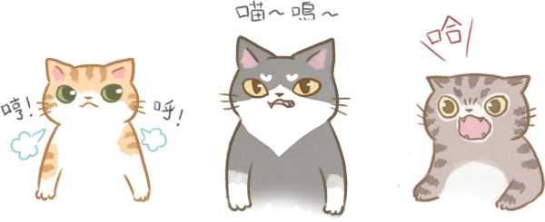 解密貓語_2 解密貓語_2