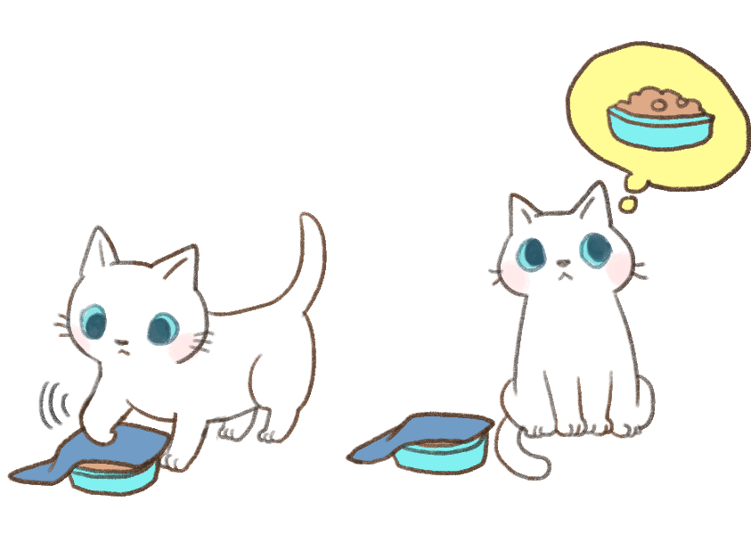 貓狗不好好吃飯的原因_2 貓狗不好好吃飯的原因_2