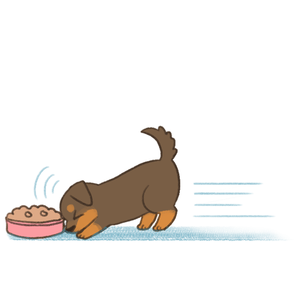 貓狗不好好吃飯的原因_5 貓狗不好好吃飯的原因_5