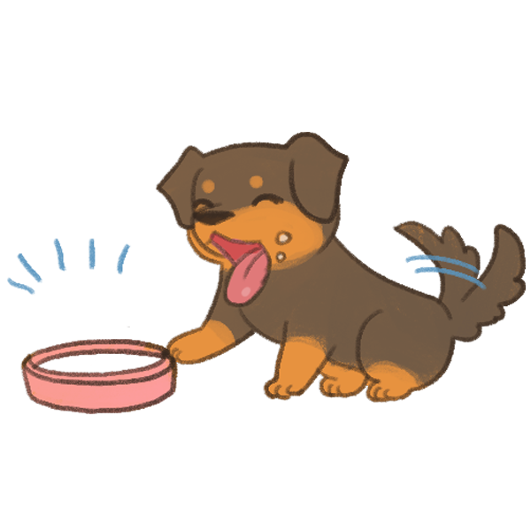 貓狗不好好吃飯的原因_6 貓狗不好好吃飯的原因_6