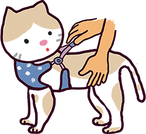 遛貓三步驟_3 遛貓三步驟_3