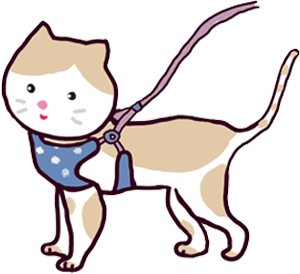 遛貓三步驟_4 遛貓三步驟_4