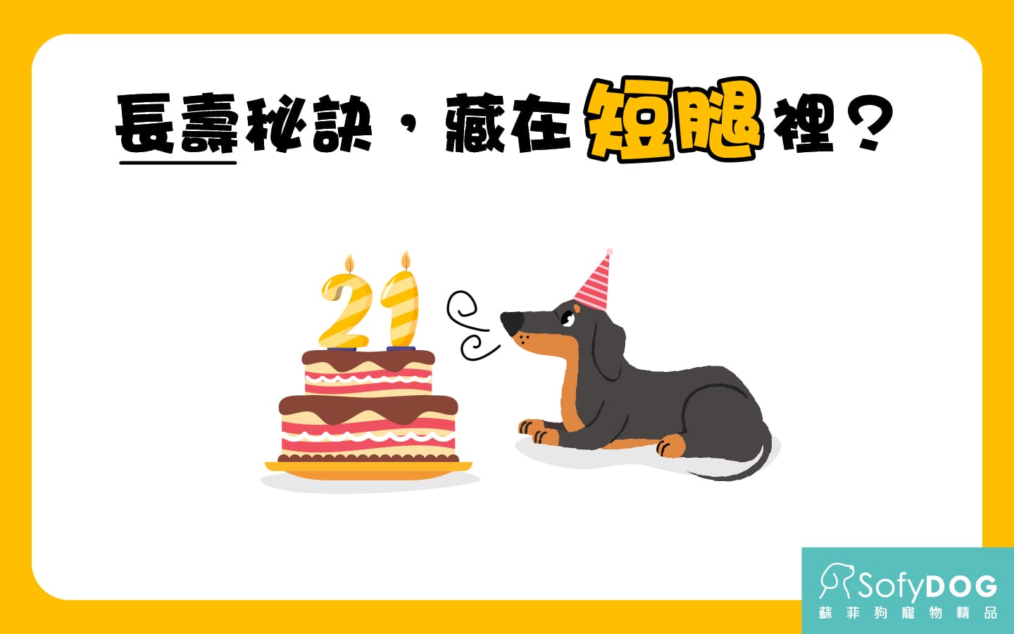 長壽秘訣藏在短腿裡?