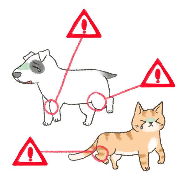 毛孩保養關節的營養補充_1 毛孩保養關節的營養補充_1