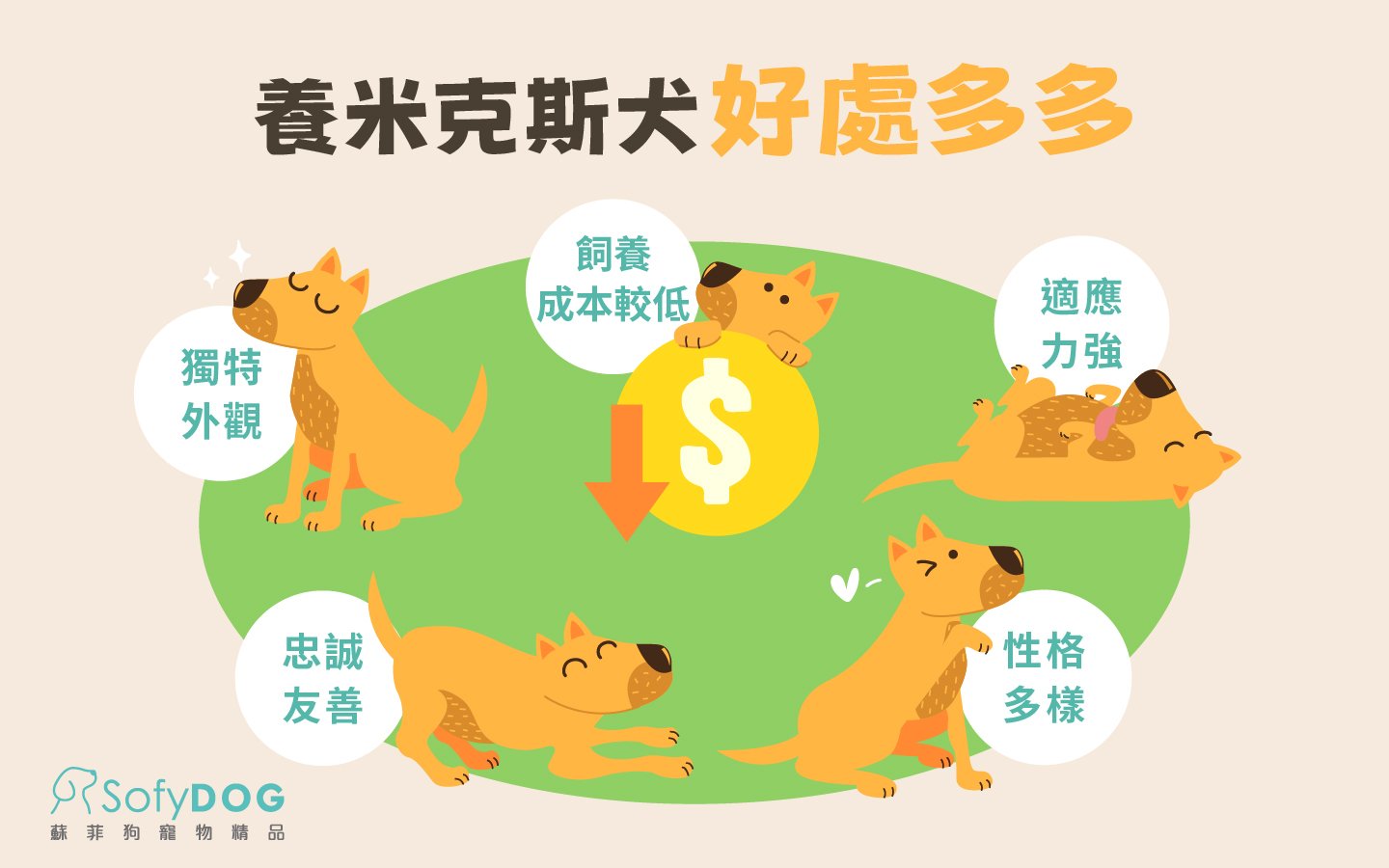 養米克斯犬好處多多 養米克斯犬好處多多