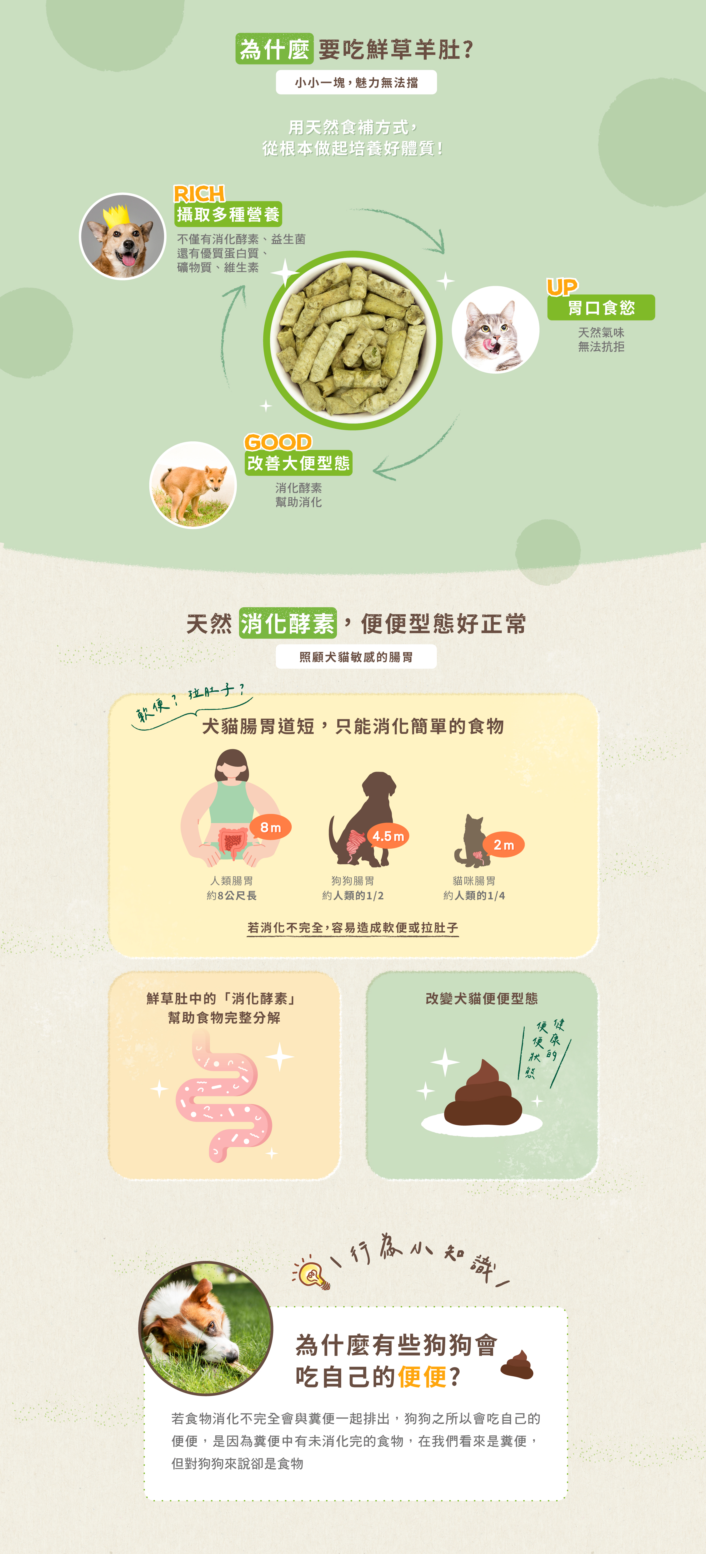 天然食補方式從鮮草肚補給。富含消化酵素、益生菌、礦物質及維生素,營養滿分。天然氣味適口性極佳,幫助消化,改善大便型態。 天然食補方式從鮮草肚補給。富含消化酵素、益生菌、礦物質及維生素,營養滿分。天然氣味適口性極佳,幫助消化,改善大便型態。