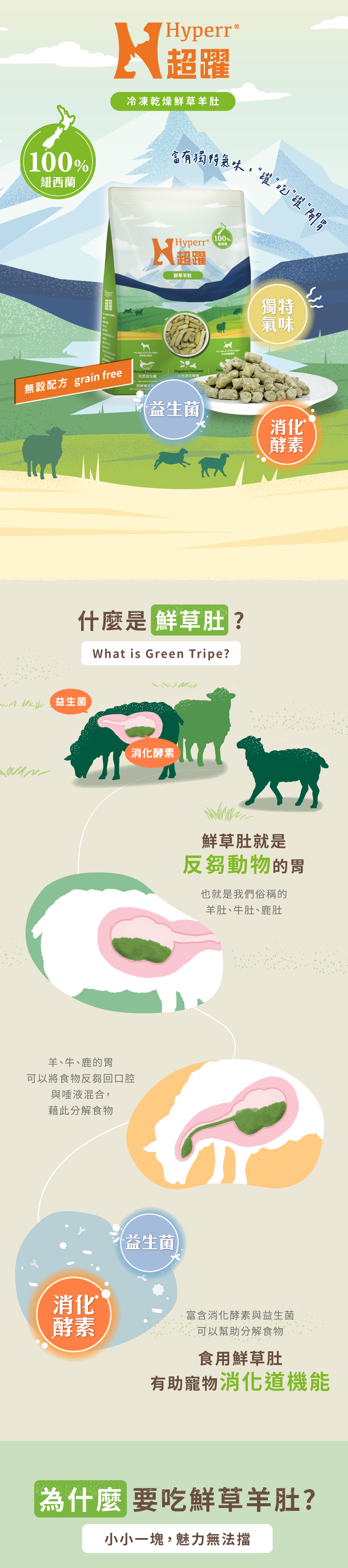 Hyperr超躍冷凍乾燥鮮草羊肚,來自紐西蘭,反芻動物的胃,富含消化酵素、益生菌,幫助分解食物。食用鮮草肚,有助寵物消化道機能。 Hyperr超躍冷凍乾燥鮮草羊肚,來自紐西蘭,反芻動物的胃,富含消化酵素、益生菌,幫助分解食物。食用鮮草肚,有助寵物消化道機能。