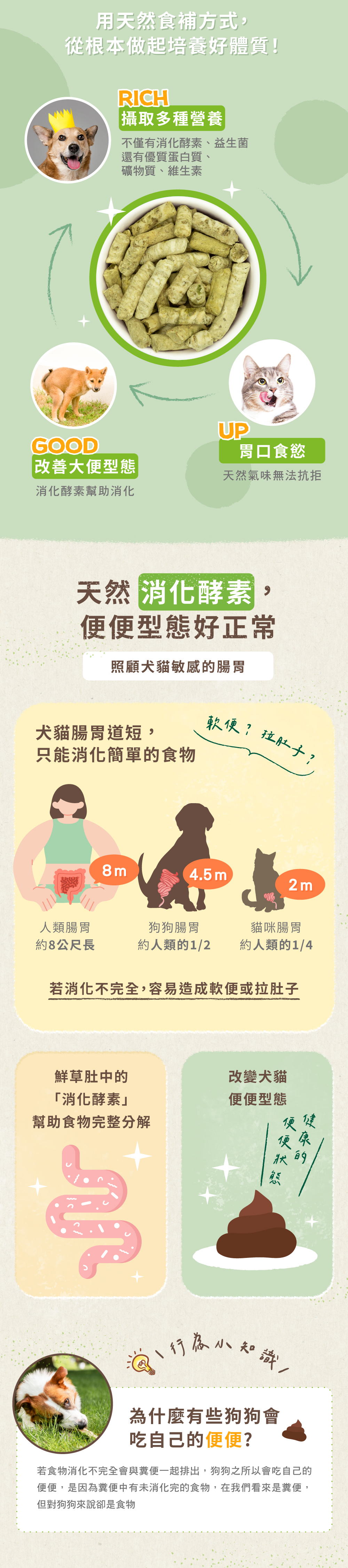 天然食補方式從鮮草肚補給。富含消化酵素、益生菌、礦物質及維生素,營養滿分。天然氣味適口性極佳,幫助消化,改善大便型態。 天然食補方式從鮮草肚補給。富含消化酵素、益生菌、礦物質及維生素,營養滿分。天然氣味適口性極佳,幫助消化,改善大便型態。