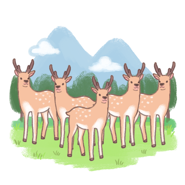 鹿肉介紹_1 鹿肉介紹_1