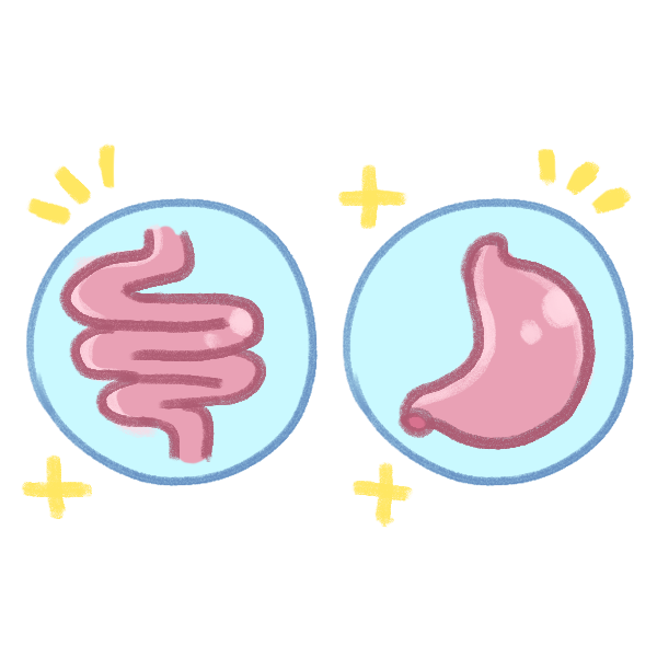 鹿肉介紹_2 鹿肉介紹_2