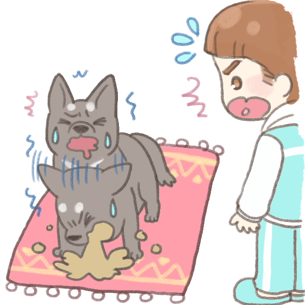 寵物嘔吐清潔法_1