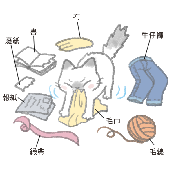 貓咪異食症上_2 貓咪異食症上_2