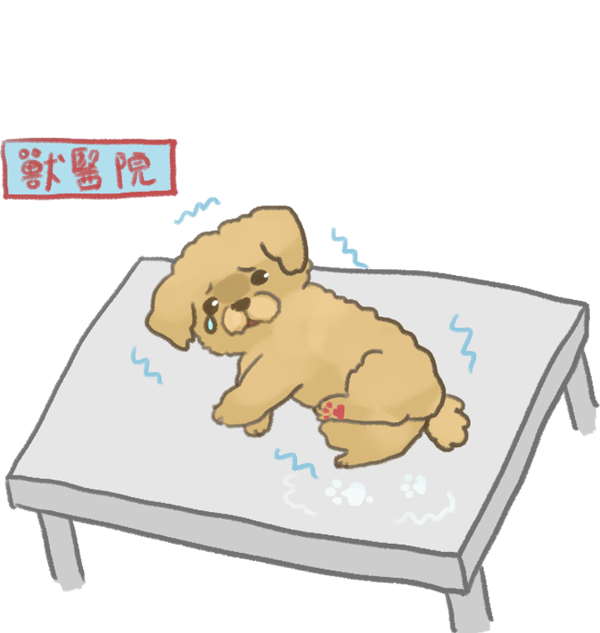 狗的肉球保養_2