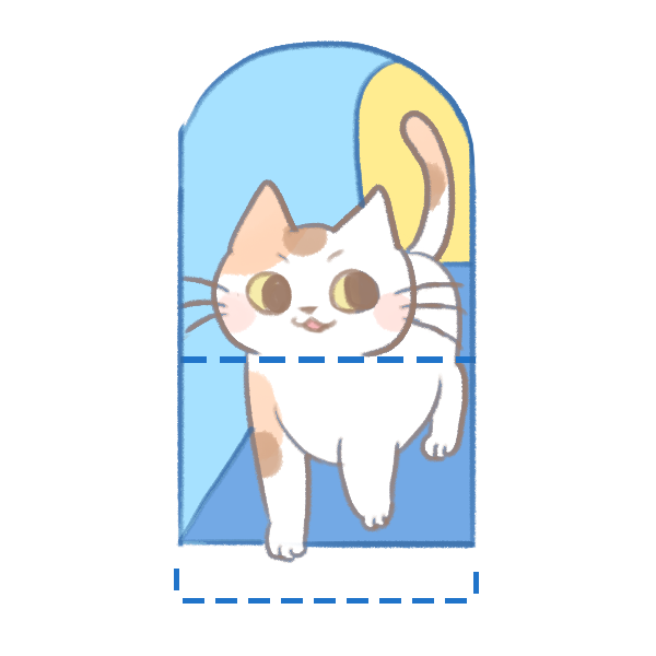 貓咪鬍鬚的秘密_2 貓咪鬍鬚的秘密_2