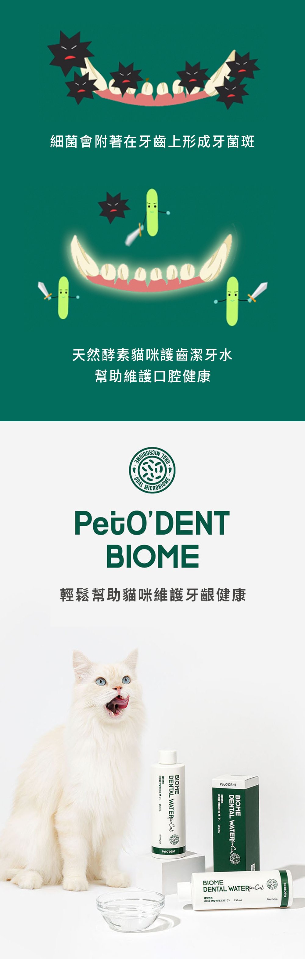 使用天然酵素，保護牙齒免受有害物質侵害