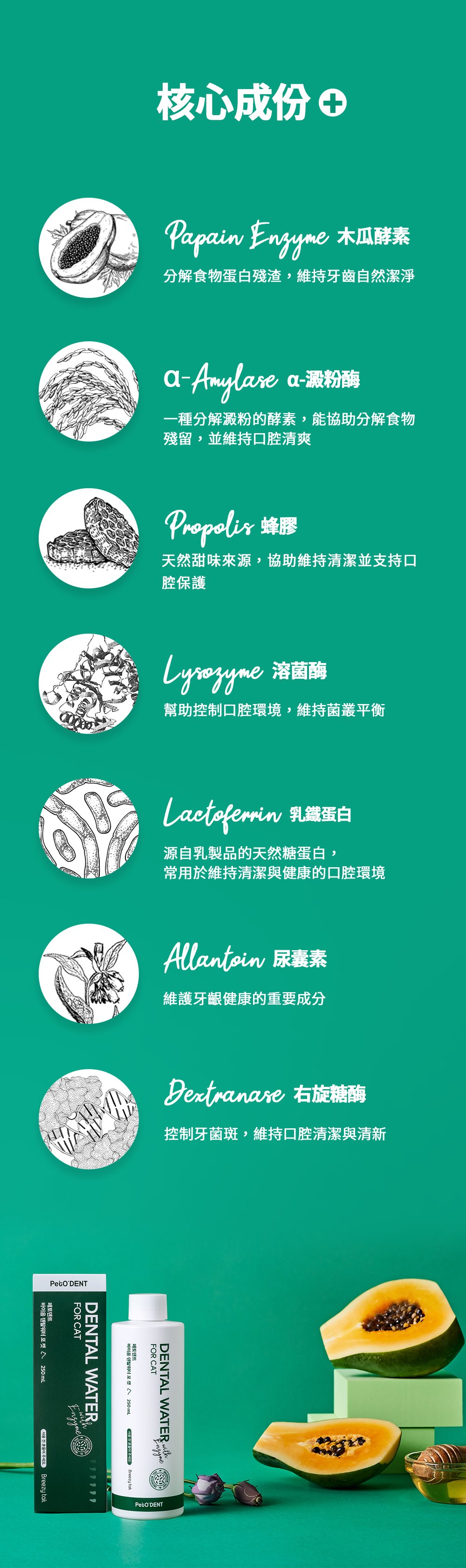 添加貓薄荷萃取物，增加適口性