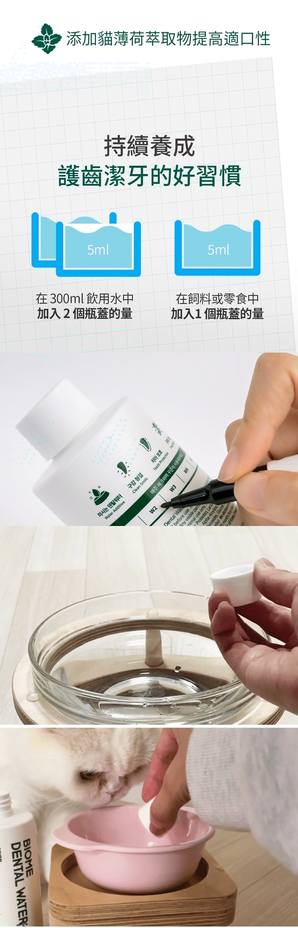 讓貓咪持續養成口腔管理的好習慣。