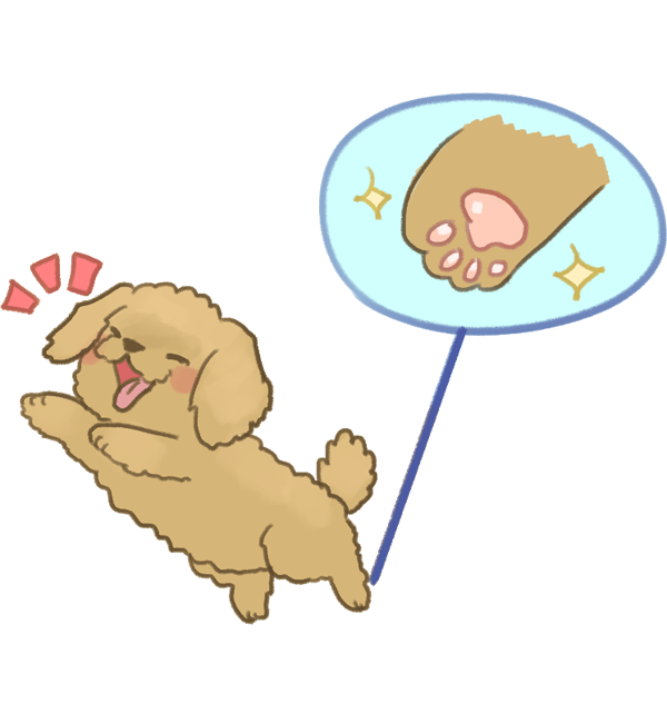 狗的肉球保養_3 狗的肉球保養_3