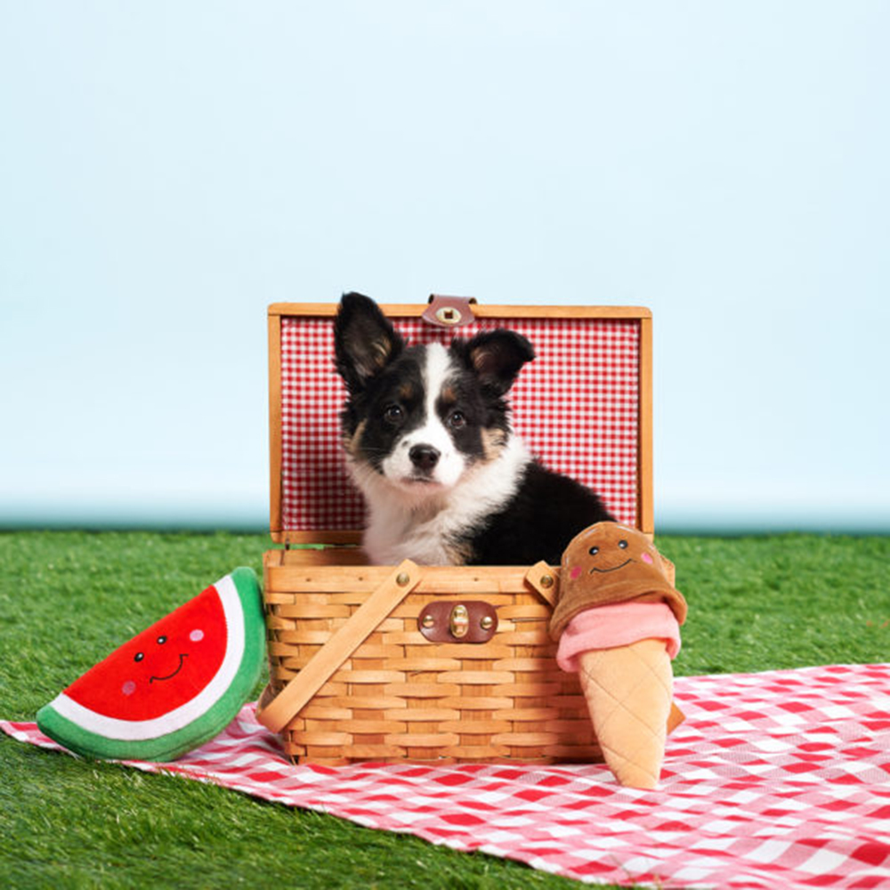 ZippyPaws 霜淇淋寵物玩具 情境照