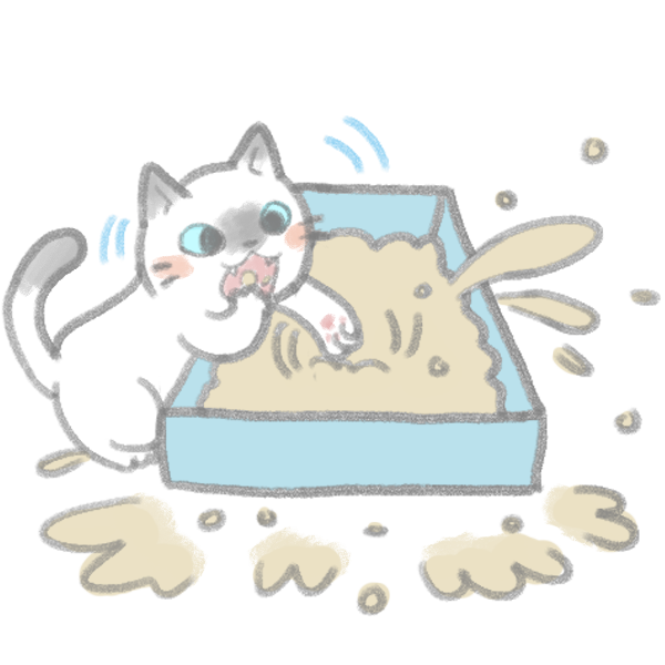 貓咪異食症上_4 貓咪異食症上_4