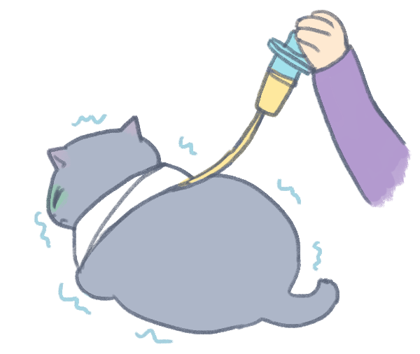 貓咪脂肪肝_2 貓咪脂肪肝_2