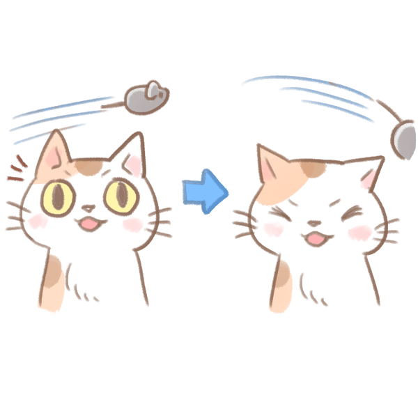 貓咪鬍鬚的秘密_4 貓咪鬍鬚的秘密_4