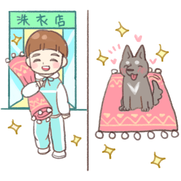 寵物嘔吐清潔法_5